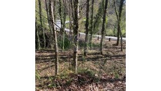 Land for sale in Sever do Vouga, Portugal — €25,000