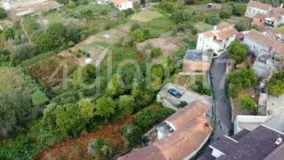 Land for sale in Sever do Vouga, Portugal — €19,500