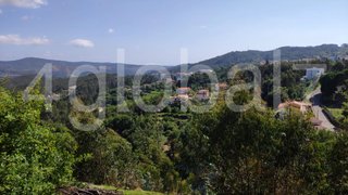 Land for sale in Sever do Vouga, Portugal — €29,000
