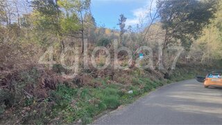 Land for sale in Sever do Vouga, Portugal — €16,500
