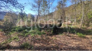 Terreno em Sever do Vouga