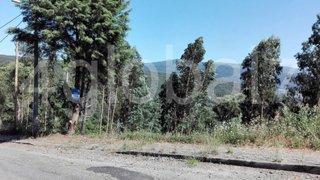 Land for sale in Sever do Vouga, Portugal — €32,500