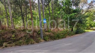 Land for sale in Sever do Vouga, Portugal — €35,000