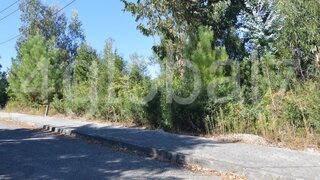 Land for sale in Sever do Vouga, Portugal — €30,000