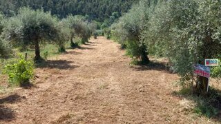 Land for sale in Covilhã, Portugal — €17,500