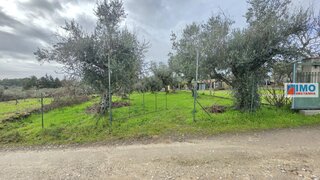 Terreno de 750 m² em Castelo Branco