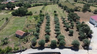 Land for sale in Idanha-a-Nova, Portugal — €55,000