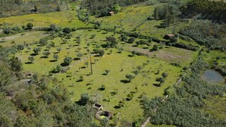 Land for sale in Vila Velha de Ródão, Portugal — €35,000