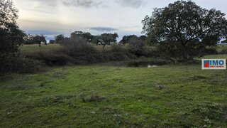 Land for sale in Idanha-a-Nova, Portugal — €16,150