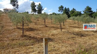 Land for sale in Covilhã, Portugal — €55,000