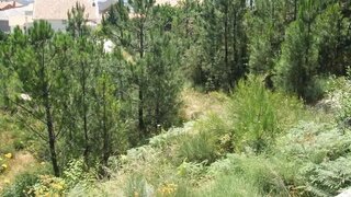 Land for sale in Covilhã, Portugal — €75,000