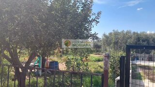 Land for sale in Seia, Portugal