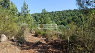 Land for sale in Fornos de Algodres, Portugal — €12,500