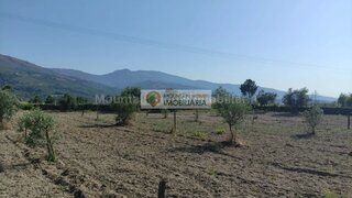 Land for sale in Gouveia, Portugal — €11,000