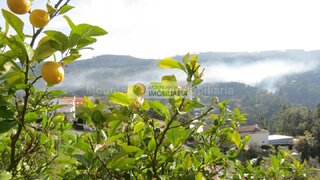 Land for sale in Oliveira do Hospital, Portugal — €12,500