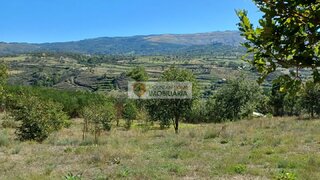 Land for sale in Gouveia, Portugal — €25,000