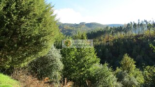 Land for sale in Seia, Portugal — €6,000