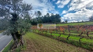 Land for sale in Gouveia, Portugal — €13,000