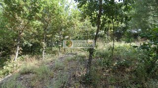 Land for sale in Seia, Portugal — €16,000