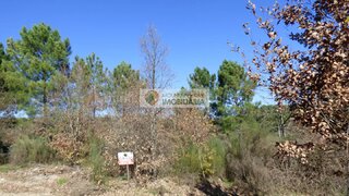 Terreno em Mangualde