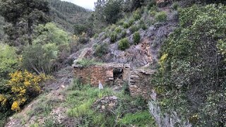 Land for sale in Castelo Branco, Portugal — €25,000