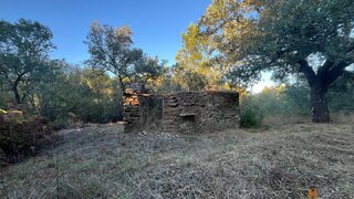 Terreno de 1800 m² em Castelo Branco