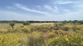 Land for sale in Idanha-a-Nova, Portugal — €12,000