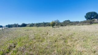Terreno de 1900 m² em Castelo Branco