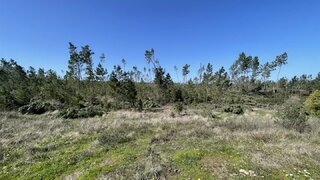 Terreno de 11 991 m² em Castelo Branco