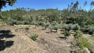 Terreno de 6840 m² em Castelo Branco