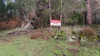 Land for sale in Seia, Portugal — €11,000