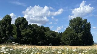 Alttag