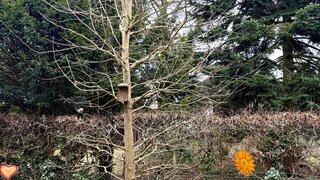 casafari-bild