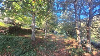 Terreno de 930 m² em Viana do Castelo