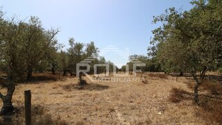 Terreno em Alvito
