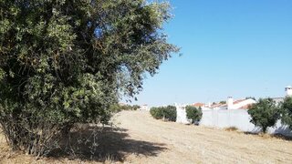 Land for sale in Reguengos de Monsaraz, Portugal — €289,000