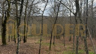 Land for sale in Póvoa de Lanhoso, Portugal — €24,950