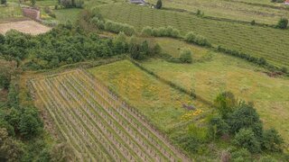 Land for sale in Póvoa de Lanhoso, Portugal — €19,900