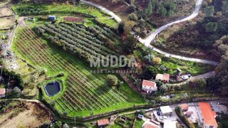 Land for sale in Cinfães, Portugal — €84,000