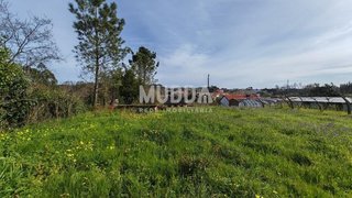 Terreno em Águeda