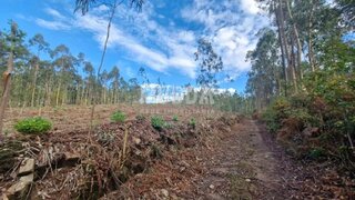 Land for sale in Santa Maria da Feira, Portugal — €115,000