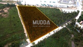 Land for sale in Albergaria-a-Velha, Portugal — €390,000