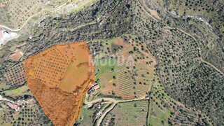 Terreno de 30 000 m² em Bragança