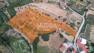 Terreno em Bragança