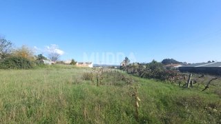 Land for sale in Estarreja, Portugal — €6,082