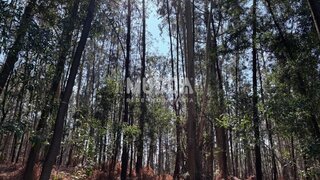 Land for sale in Oliveira de Azeméis, Portugal — €66,000
