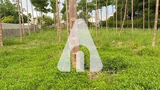 Land for sale in Santa Maria da Feira, Portugal — €95,000
