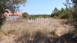Land for sale in Anadia, Portugal — €55,000