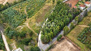 Terreno para venda em Albergaria-a-Velha, Portugal — 105 000 €