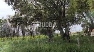 Land for sale in Albergaria-a-Velha, Portugal — €119,000